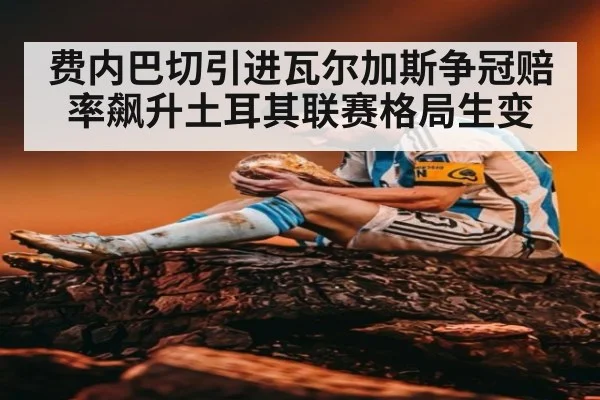费内巴切引进瓦尔加斯争冠赔率飙升土耳其联赛格局生变