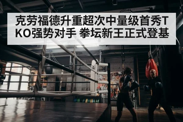 boxer training